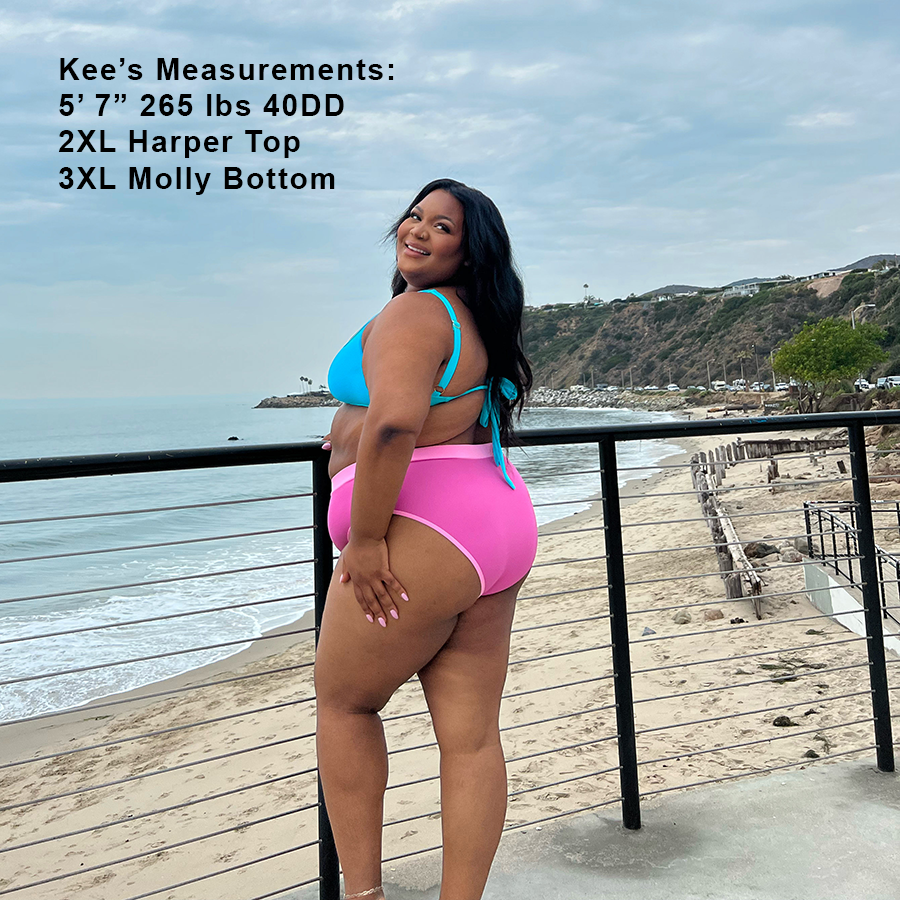 MOLLY Bubble Blue Full Coverage High Rise Bikini Bottom 93 Play